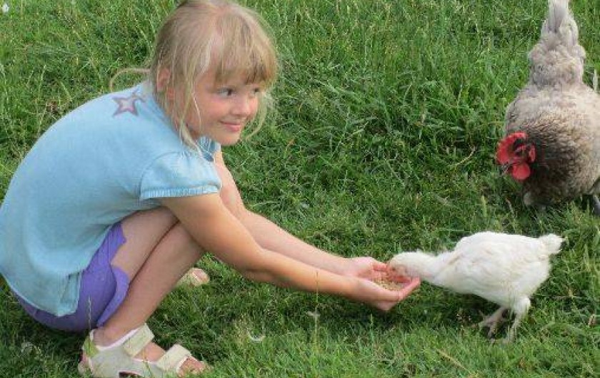 Location de vacances - Chalet à Foulenay