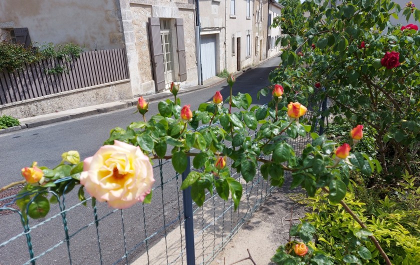 Location de vacances - Gîte à Aubeterre-sur-Dronne