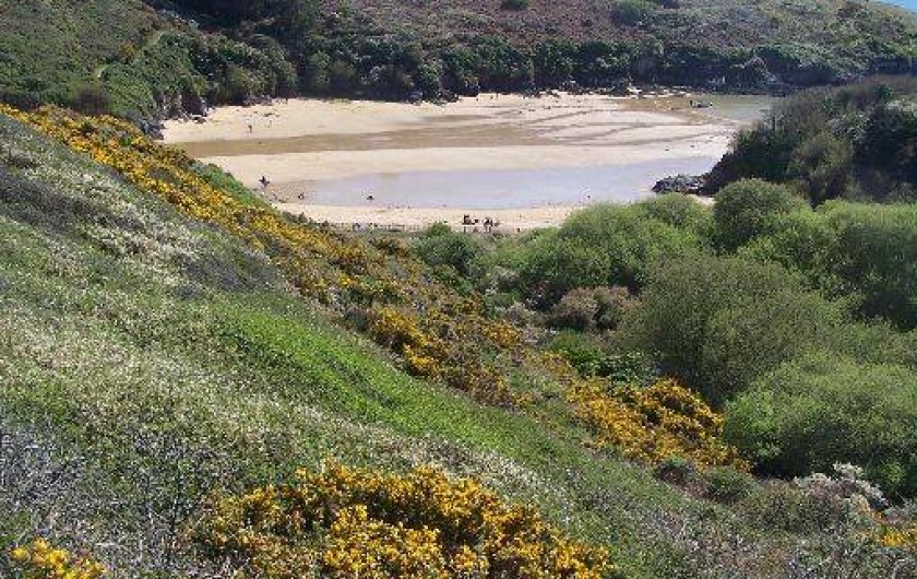 Location de vacances - Appartement à Le Palais