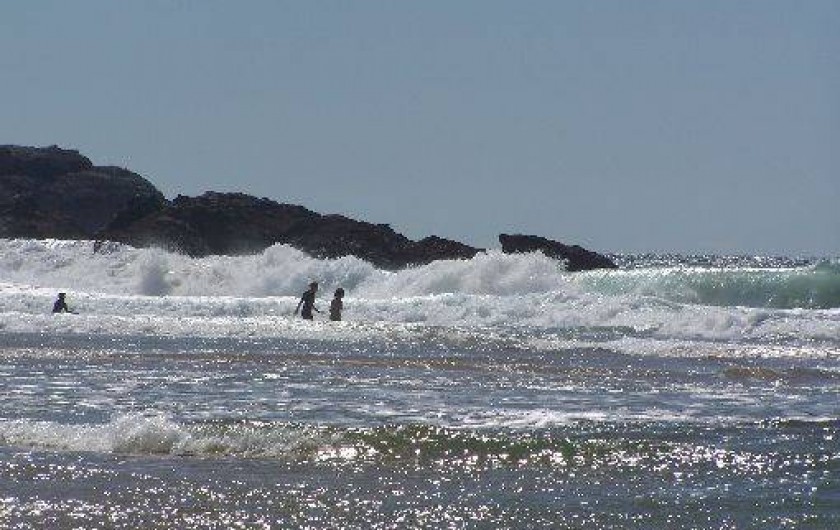Location de vacances - Appartement à Le Palais