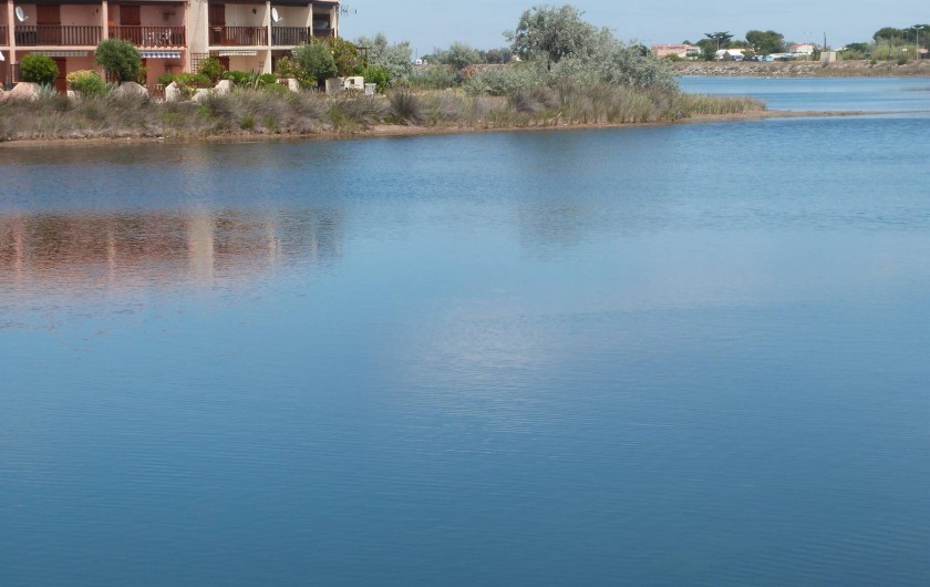 Location de vacances - Villa à Gruissan Plage - la résidence au bord de l'étang