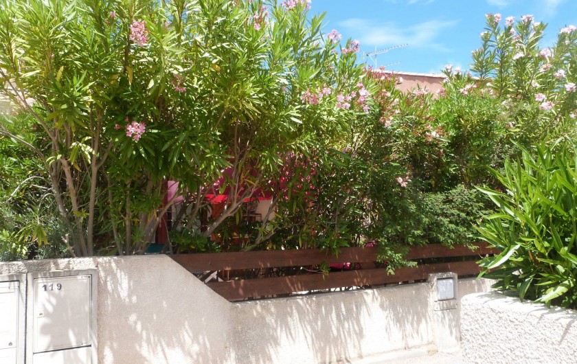Location de vacances - Villa à Gruissan Plage - la bordure de lauriers roses