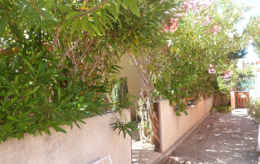 Location de vacances - Villa à Gruissan Plage - l'entrée du jardin