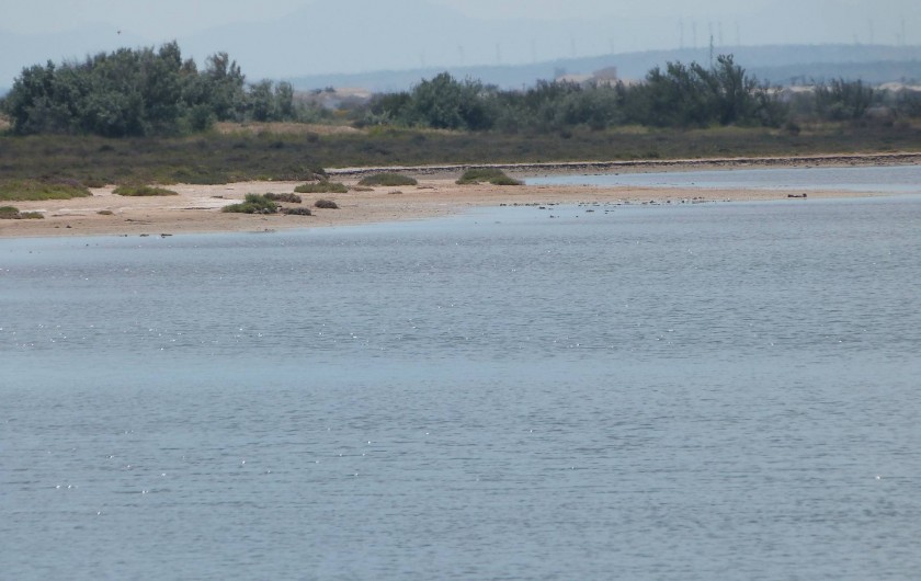 Location de vacances - Villa à Gruissan Plage - les étangs
