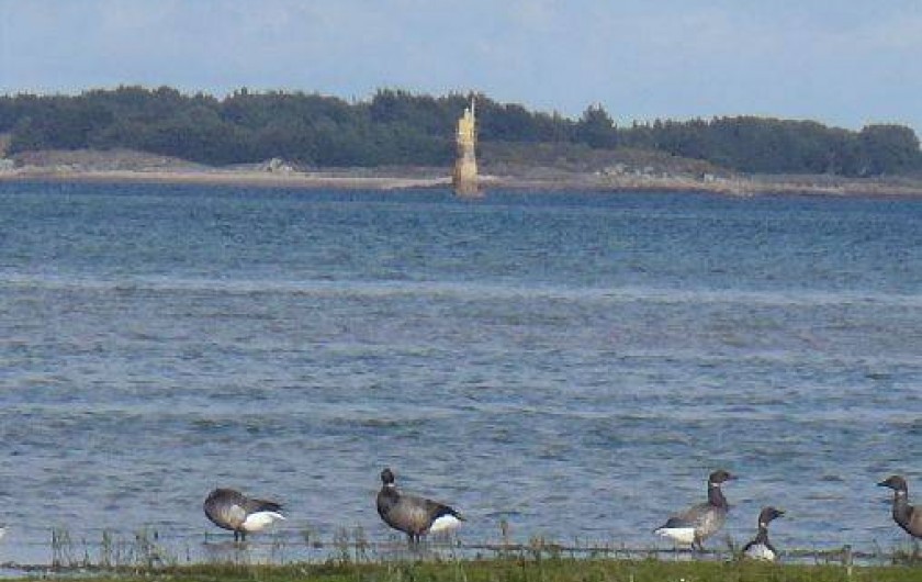 Location de vacances - Gîte à Lanmodez