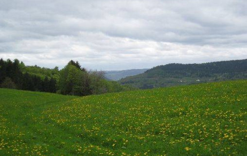 Location de vacances - Chalet à Le Thillot