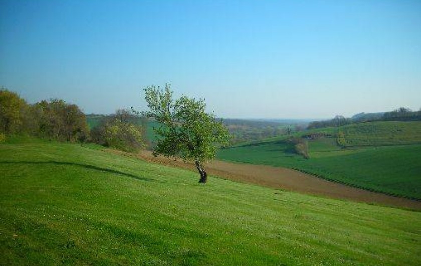 Location de vacances - Maison - Villa à Martisserre