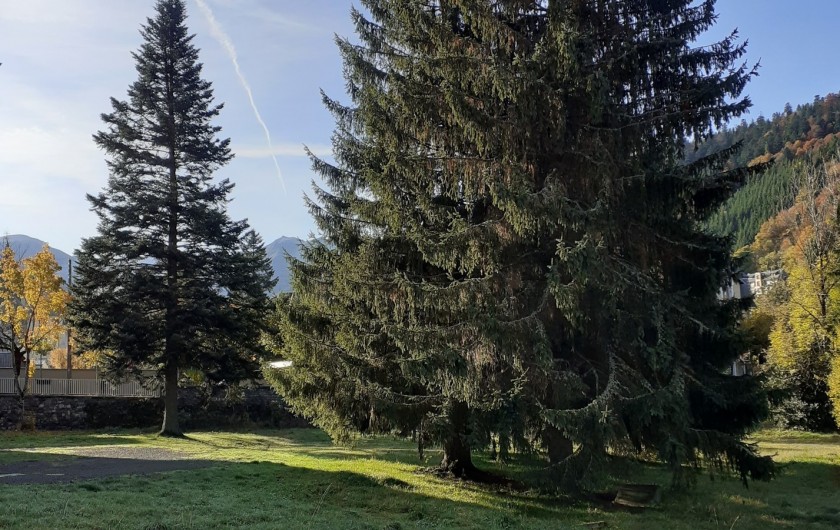 Location de vacances - Appartement à Le Mont-Dore - Vue extérieure de la pièce de vie