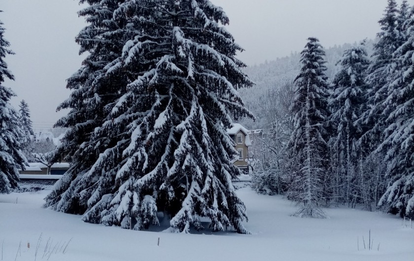 Location de vacances - Appartement à Le Mont-Dore - Vue extérieure de la pièce de vie