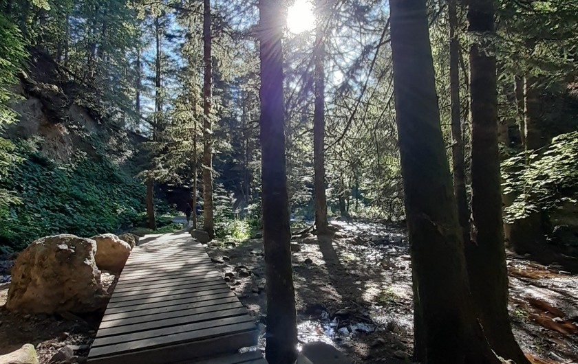 Location de vacances - Appartement à Le Mont-Dore