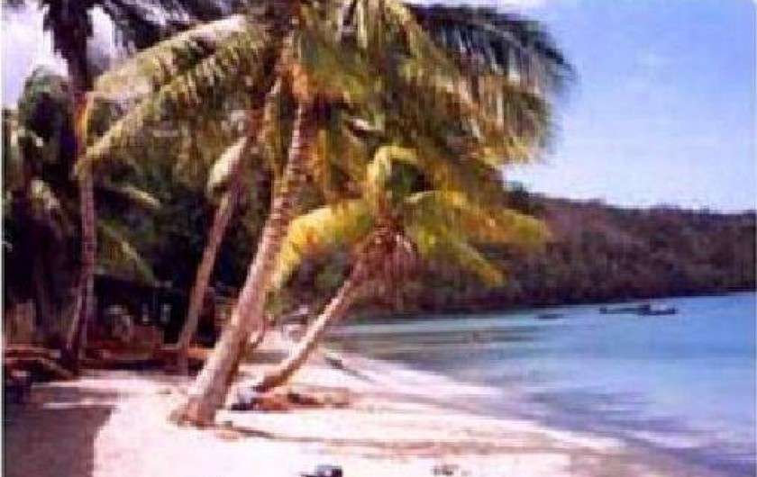 Location de vacances - Appartement à Les Anses-d'Arlet