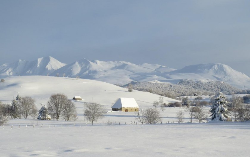 Location de vacances - Chalet à Picherande