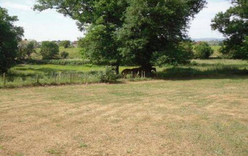 Location de vacances - Gîte à Fleurie
