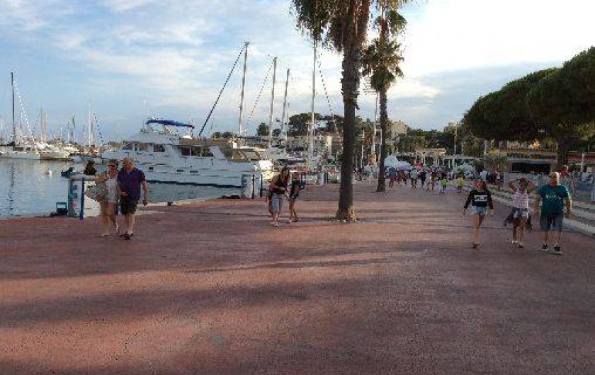 Location de vacances - Studio à Bandol