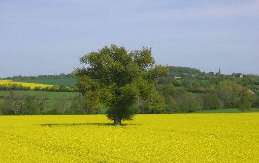 Location de vacances - Gîte à Sancerre