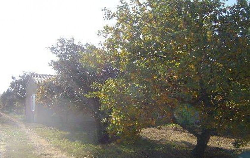Location de vacances - Villa à La Baume-de-Transit