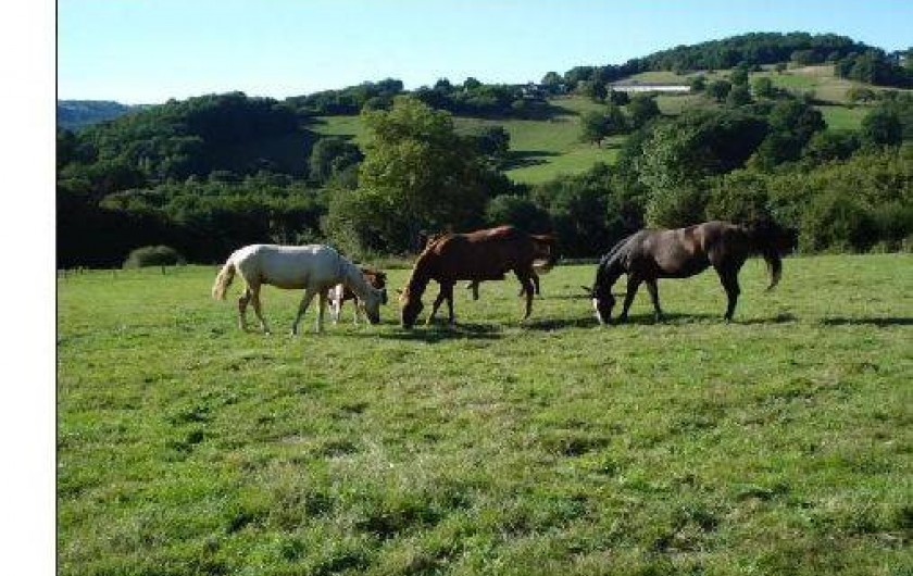 Location de vacances - Maison - Villa à Ferrières-sur-Sichon