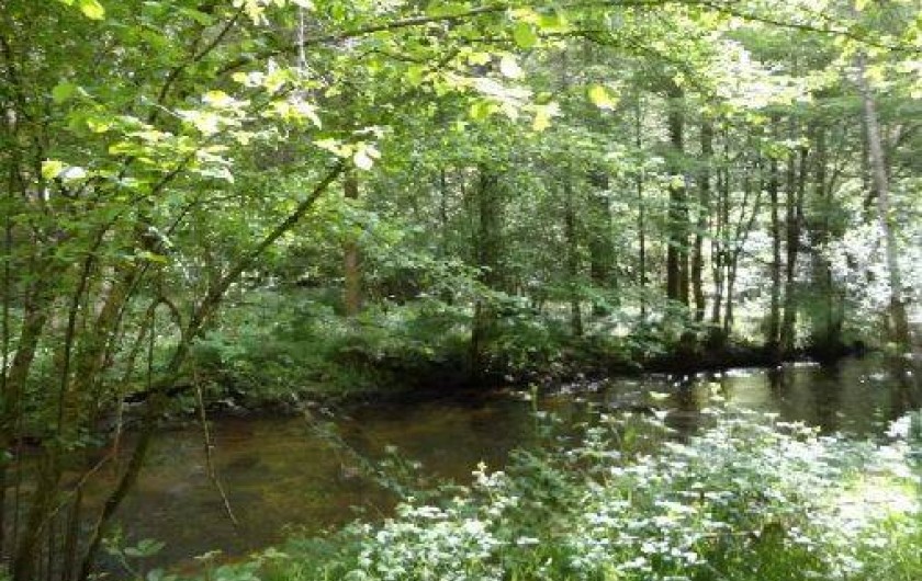 Location de vacances - Maison - Villa à Ferrières-sur-Sichon