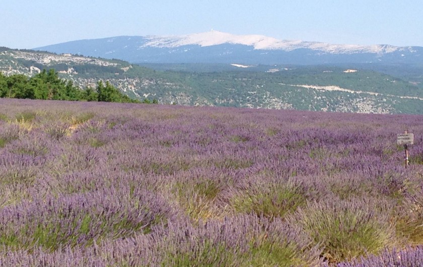 Location de vacances - Gîte à Villes-sur-Auzon