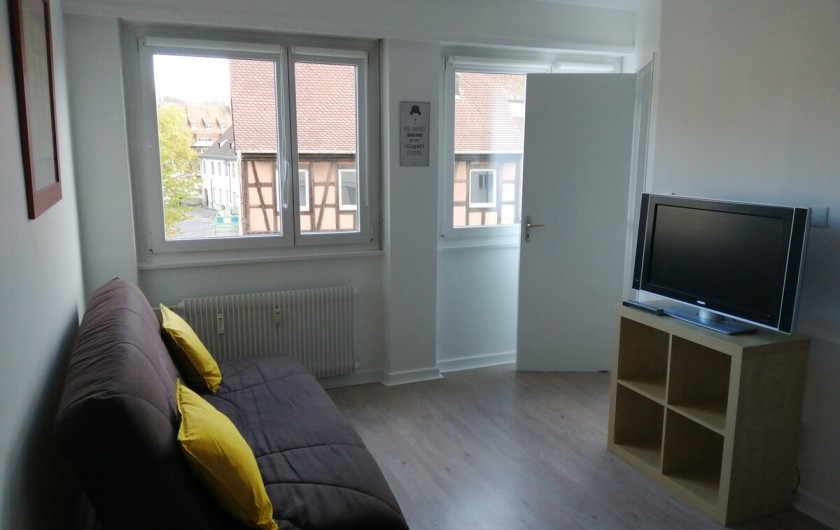 Location de vacances - Appartement à Colmar - séjour avec canapé, tv, et 1 lit double, wifi gratuite