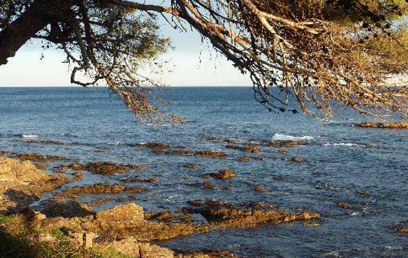 Location de vacances - Villa à Les Issambres