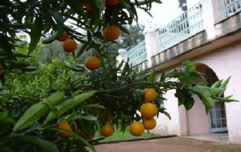 Location de vacances - Studio à Porto-Vecchio