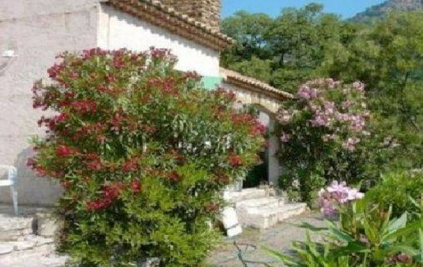 Location de vacances - Villa à Le Lavandou