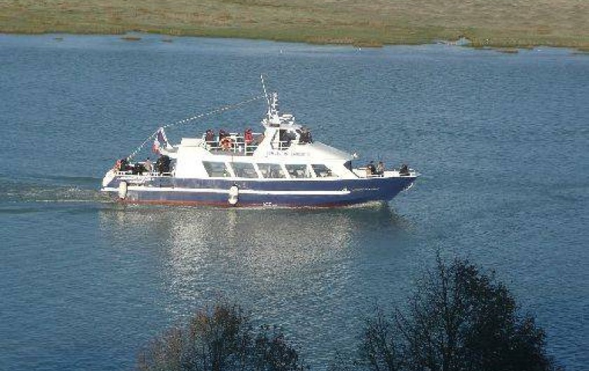 Location de vacances - Studio à Saint-Valery-sur-Somme