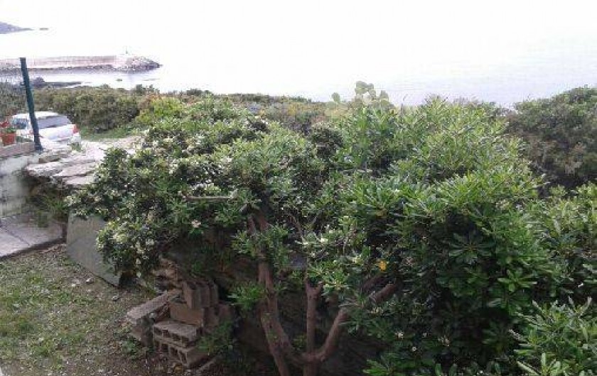 Location de vacances - Appartement à Centuri