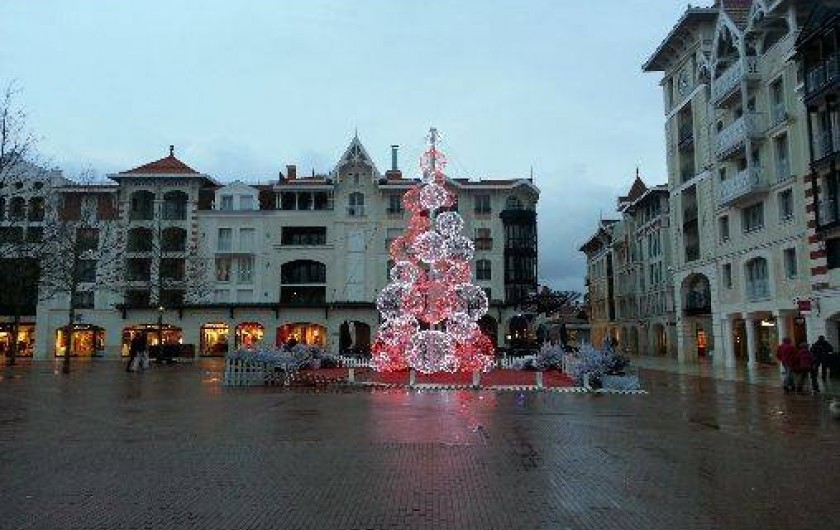 Location de vacances - Appartement à Arcachon