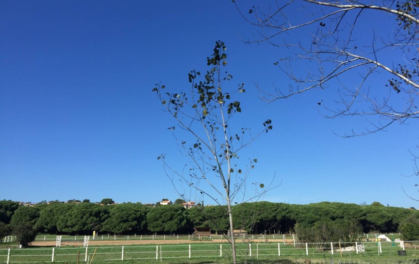 Location de vacances - Bungalow - Mobilhome à Saint-Aygulf