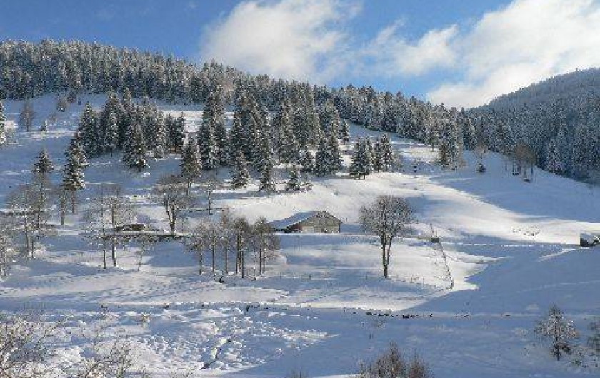 Location de vacances - Studio à La Bresse