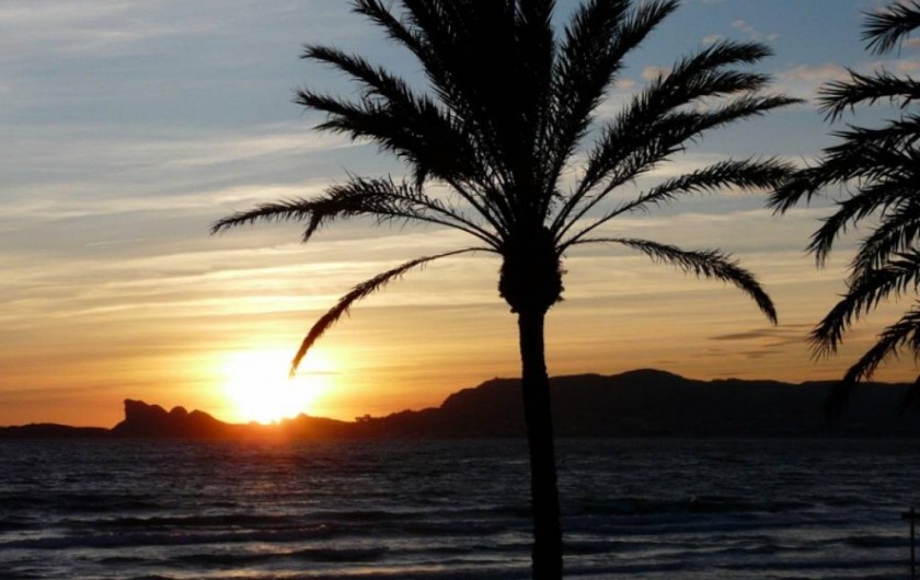 Location de vacances - Appartement à Saint-Cyr-sur-Mer