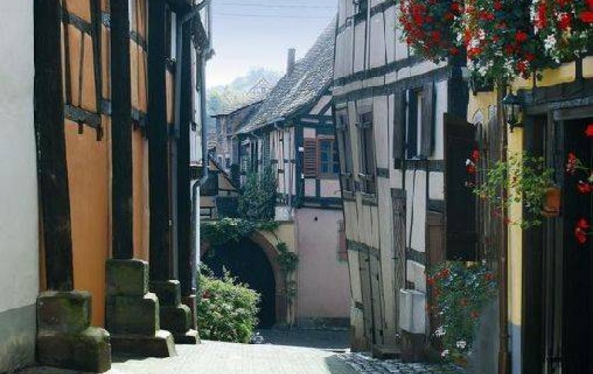 Location de vacances - Studio à Bouxwiller