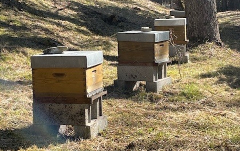 Location de vacances - Gîte à La Rouquette - Les rûches