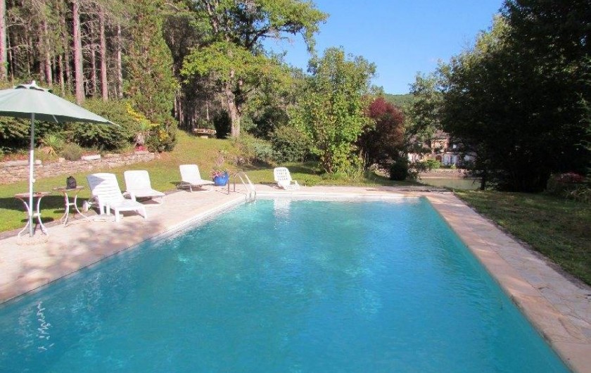 Location de vacances - Gîte à La Rouquette - Grande piscine et farniente.