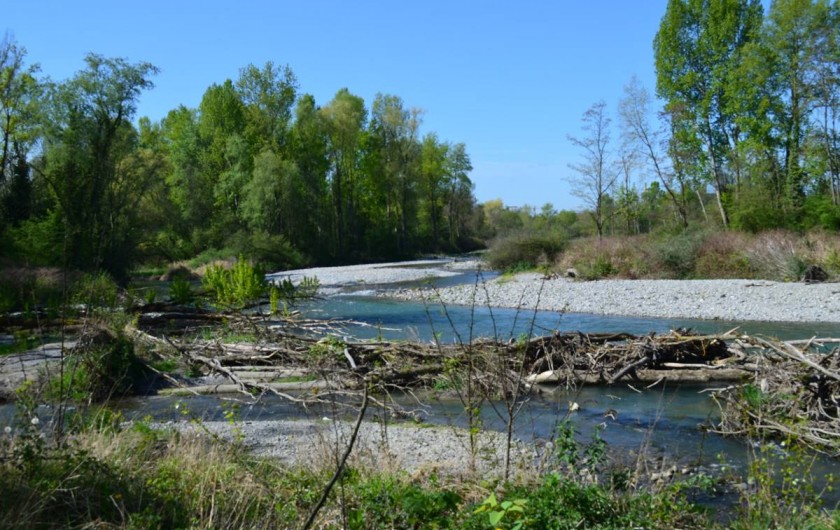 Location de vacances - Bungalow - Mobilhome à Publier - Reserve naturelle la Dranse