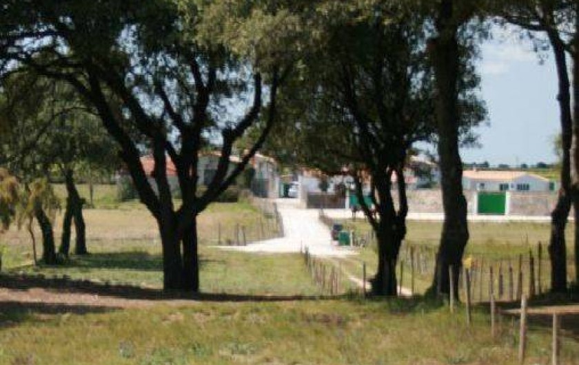 Location de vacances - Gîte à Rivedoux-Plage