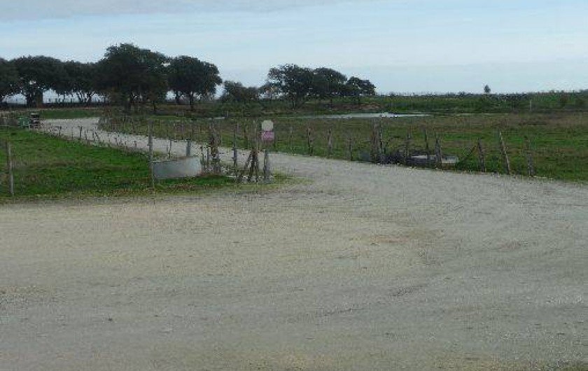 Location de vacances - Gîte à Rivedoux-Plage