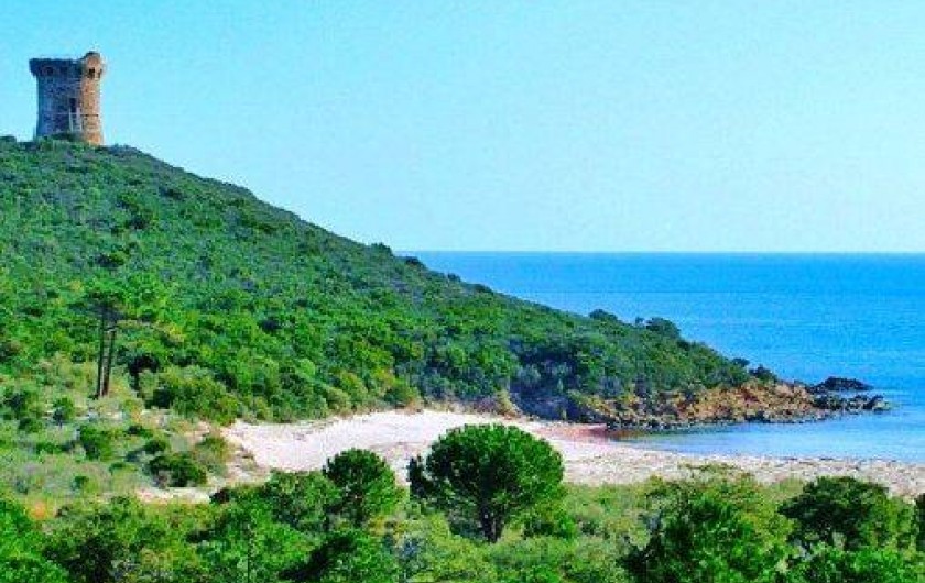 Location de vacances - Villa à Sainte-Lucie de Porto-Vecchio