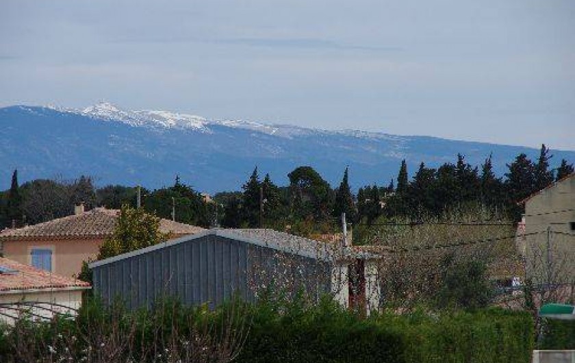 Location de vacances - Maison - Villa à Sorgues