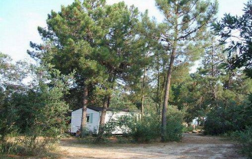 Location de vacances - Bungalow - Mobilhome à Ghisonaccia