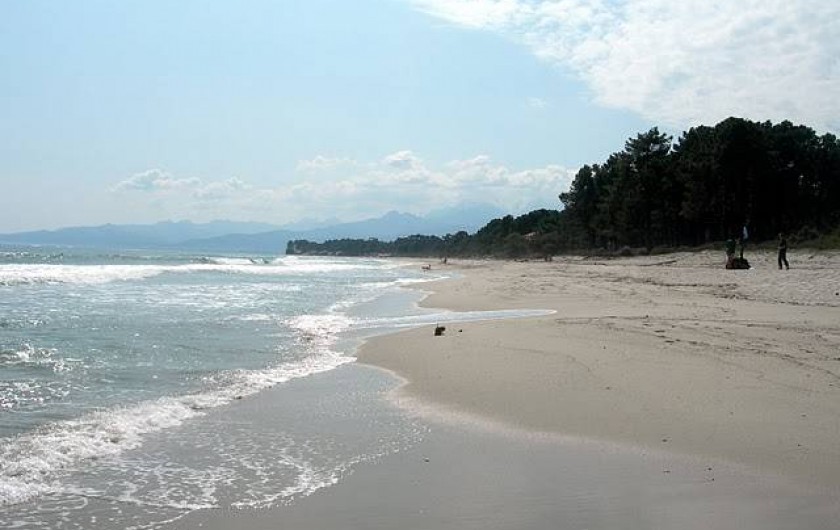 Location de vacances - Bungalow - Mobilhome à Ghisonaccia - Plage