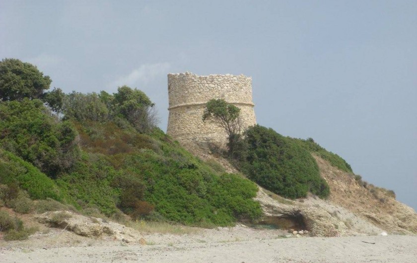 Location de vacances - Bungalow - Mobilhome à Ghisonaccia - Tour ruinée de Diana (20 km)