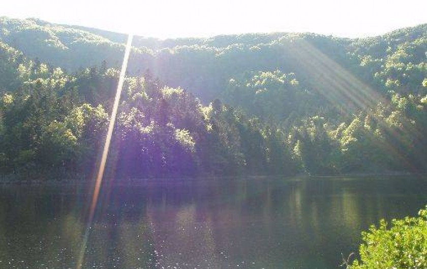 Location de vacances - Gîte à Mittlach