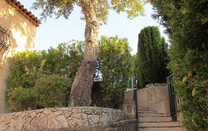 Location de vacances - Villa à Les Issambres