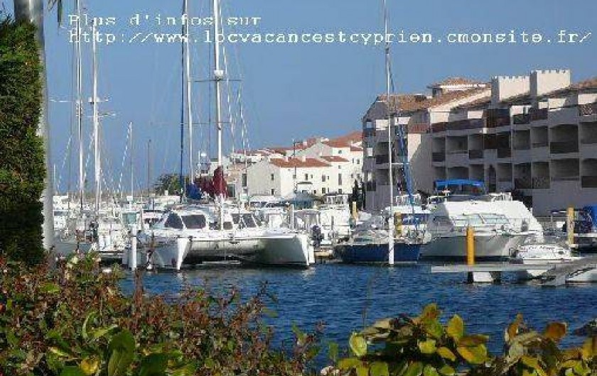 Location de vacances - Maison - Villa à Saint-Cyprien