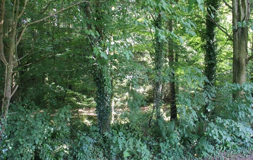 Location de vacances - Gîte à Tourville-sur-Sienne