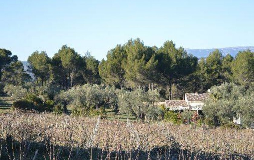 Location de vacances - Villa à Le Beausset