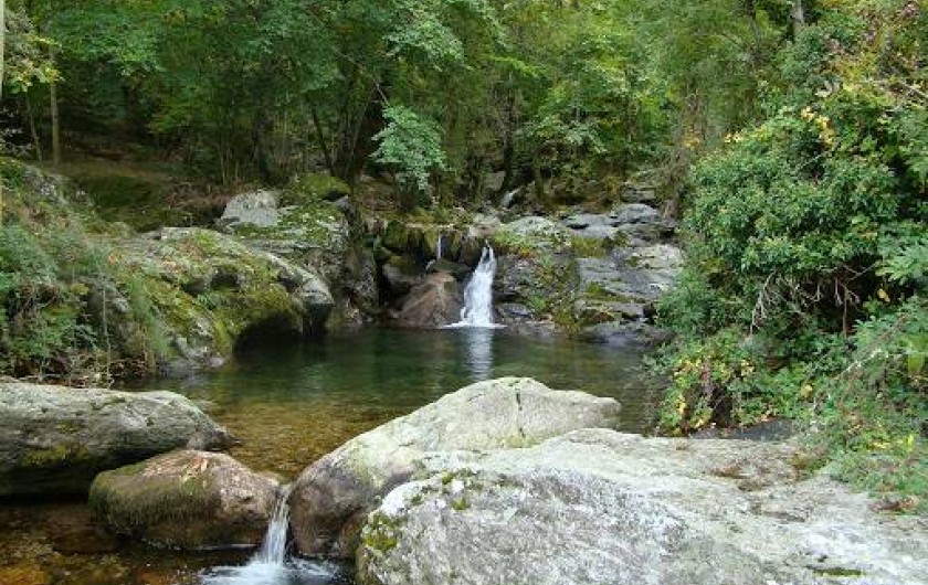 Location de vacances - Gîte à Castanet-le-Haut - Castanet-le-Haut